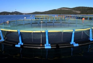 Cromaris: Potpisan 6,8 milijuna eura vrijedan ugovor