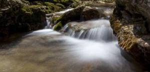 Hrvatska u EU unosi iznimno vrijednu prirodnu raznolikost