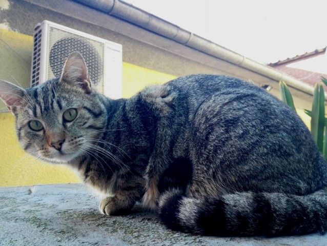 U Zlatar Bistrici otvoren MHP Pet Food vrijedan 43 milijuna eura