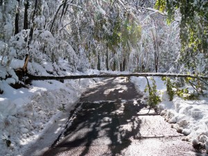 Dijelovi Like i Gorskog kotara odsječeni, više od 7000 kućanstava bez struje
