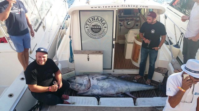 Ove godine najveća ulovljena tuna bila je teška 261 kilogram