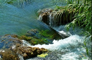 NP Krka otvara izložbu “Podzemna fauna” u Zagrebu