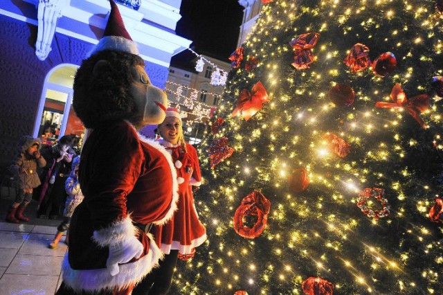 DOŽIVITE CHRISTMAS TREE LIGHTING U OPATIJI
