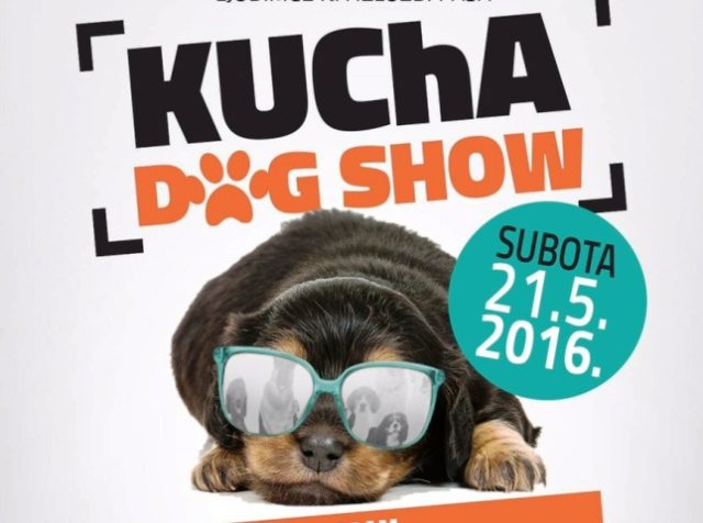 KUcHA DOG SHOW