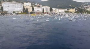 VIDEO: gosti u Opatiji u šoku, pokolj sardela u par minuta