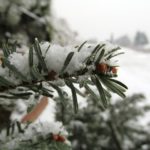 Snijeg u Livignu: listopadska večer donijela dašak zime u talijanske Alpe