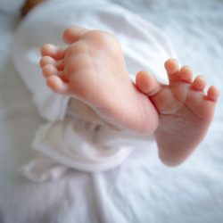 Austrija: Pronađen otrov za štakore u staklenki hrane za bebe HiPP