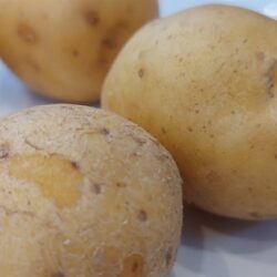 Hrvatska gubi samodostatnost u krumpiru