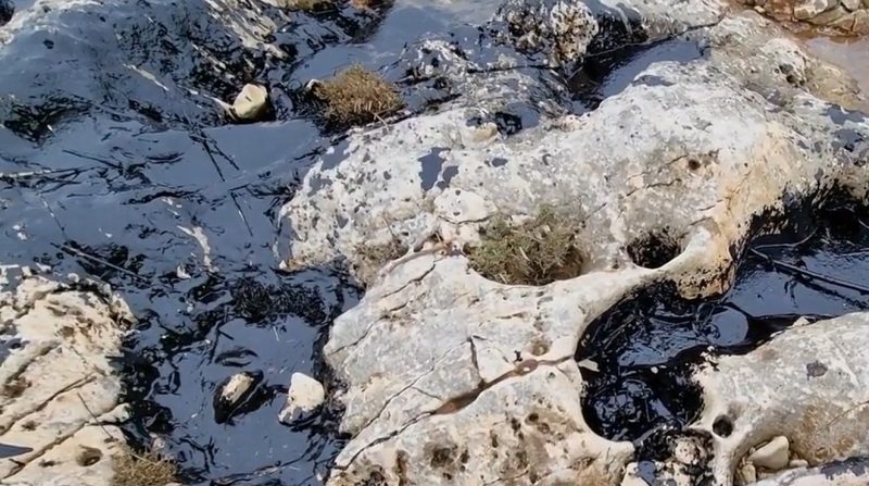 Ekološka katastrofa u Istri: Onečišćeno more kod Ližnjana