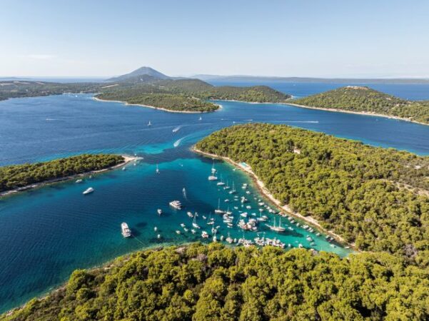 Staničić: Poruka naših partnera je da moramo biti mudri u formiranju cijena