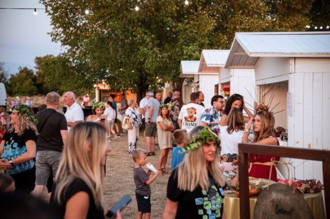 NP Krka, Održane XVII. Burnumske ide