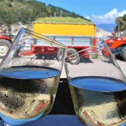 Više od 500 različitih pravila? Kritike plana o zabrani prodaje alkohola