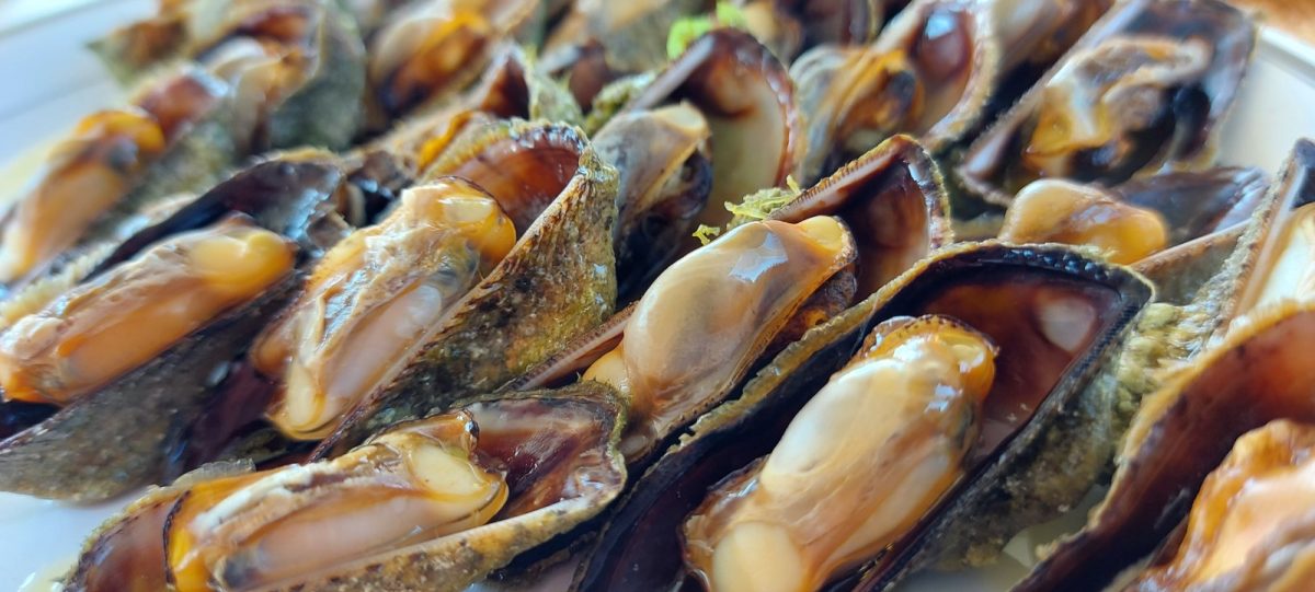 Kunjke – morska delicija koju obožavamo… ali priroda nam šalje upozorenje