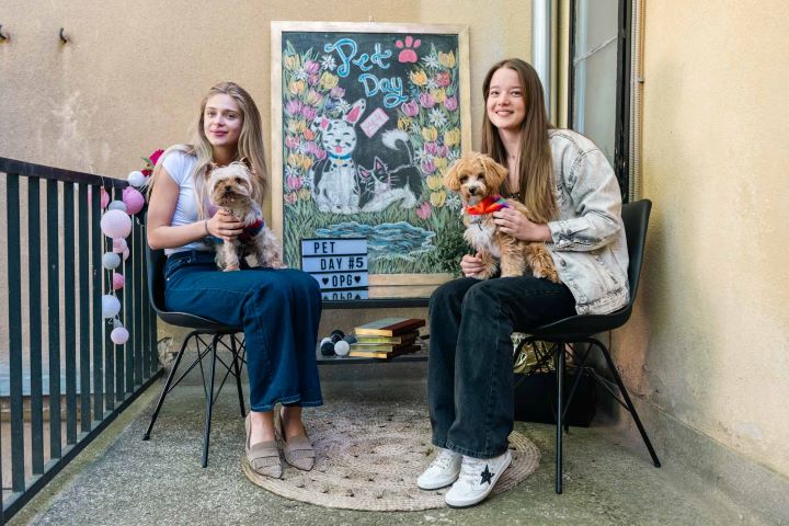 U VREMENU OTVUĐENOSTI, ZAGREBAČKA ŠKOLA NAŠLA JE JEDNOSTAVAN ODGOVOR