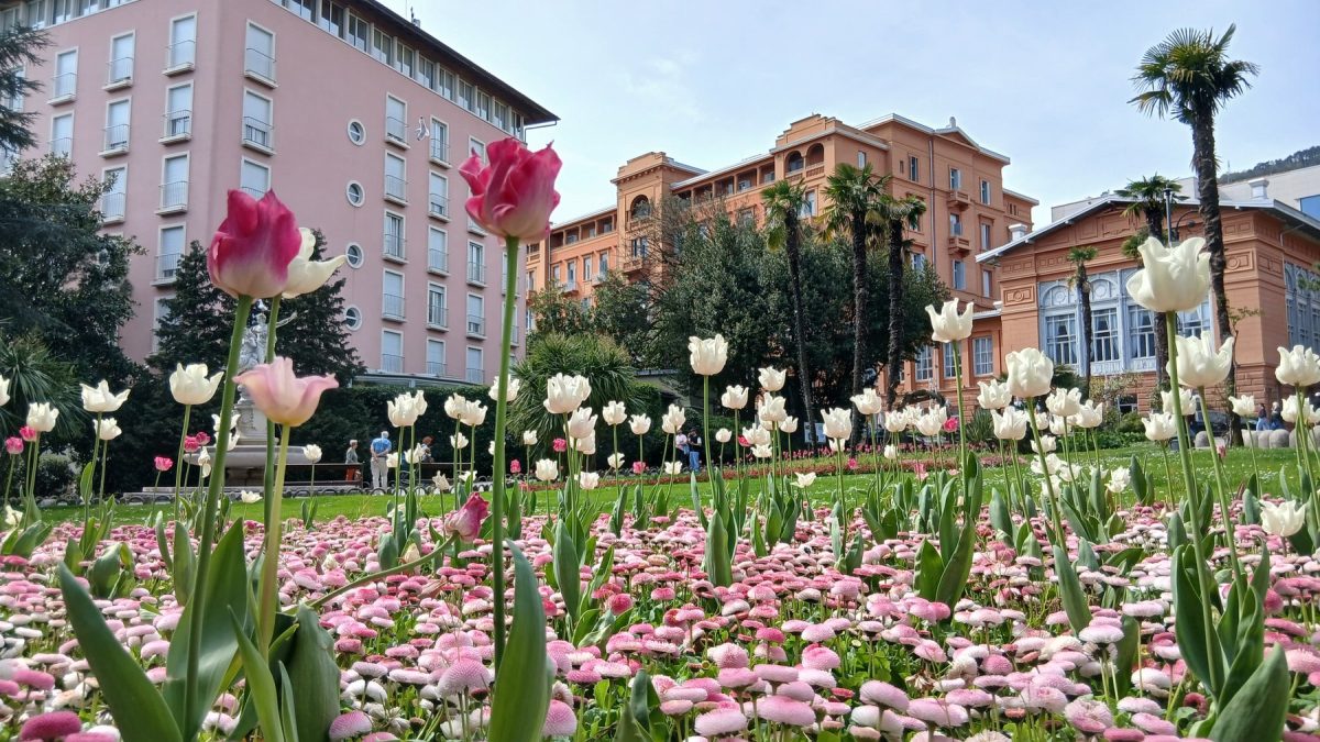 Opatija ponovno u znaku cvjetne umjetnosti: stiže 4. Floral Week