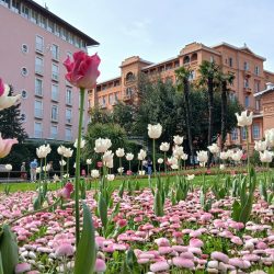 Opatija ponovno u znaku cvjetne umjetnosti: stiže 4. Floral Week