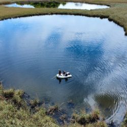 NP Krka, održane aktivnosti u sklopu ReFresh Fish LIFE projekta