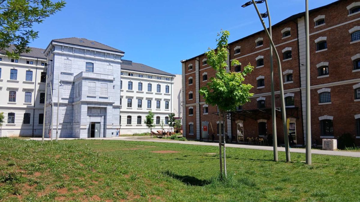 Predstavljanje slikovnice “Vedran” Nataše Merle Tomljanović