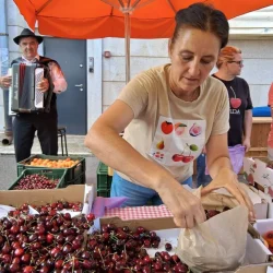 Održan mini Festival Briške češnje u Matuljima