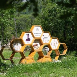 Intenziviranje stručne podrške u ruralnom turizmu