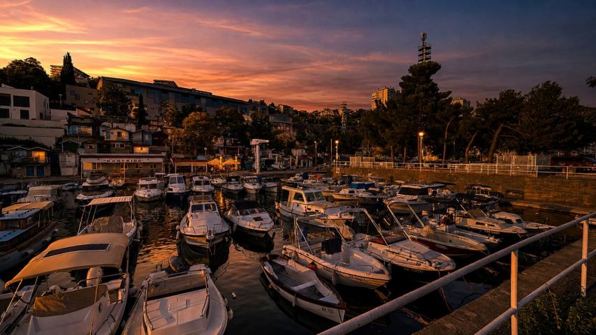 Porto Gastro Festival
