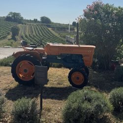 Dvije gošće ostale neugodno iznenađene računom u istarskoj vinariji
