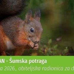 DJEČJI TJEDAN: obiteljska radionica za djecu ŠUMSKA POTRAGA