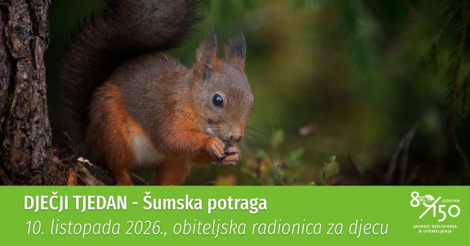 DJEČJI TJEDAN: obiteljska radionica za djecu ŠUMSKA POTRAGA